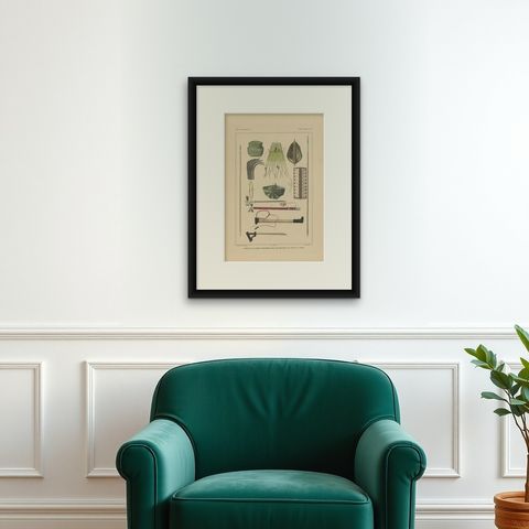 Print Weapons and Tools of Roti & Sawoe 'Indonesia' by Temminck, circa 1840, shown framed on a wall, true to size