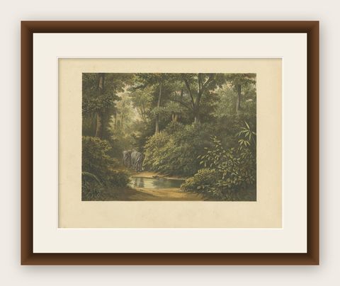 Antique Print of a Forest and Elephants in Indonesia by M.T.H. Perelaer, 1888, shown framed