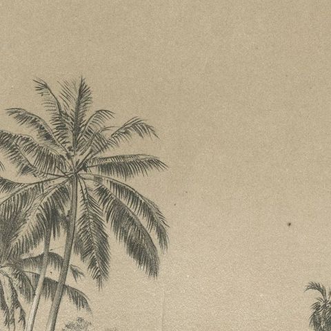 Old Print of a Mosque in a Kampung Java or Village of Javanese, Indonesia, 1874, close-up 1