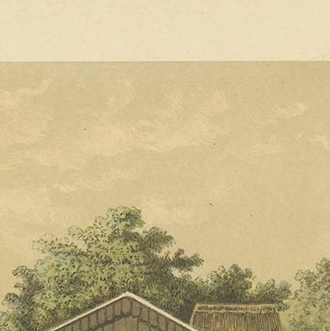 Antique Print of the Coffee Beans production on Sumatra by M.T.H. Perelaer, 1888, close-up 1