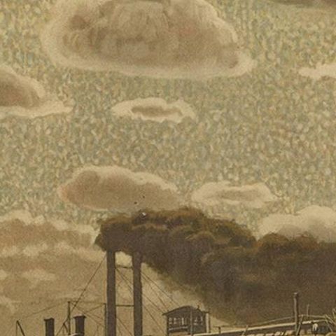 Antique Print 'Schoolplate' of a Cotton Field by F.E. Wachsmuth, circa 1900, close-up 1