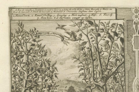 Exotic Bounty: The Spice Lands of the East Indies by R. de Hooghe, circa 1708, close-up 6