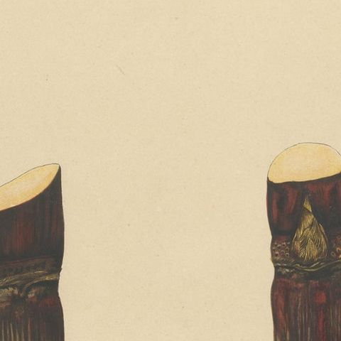 Antique Sugarcane Chromolithograph, Teboe Keong, Java 1892, close-up 4