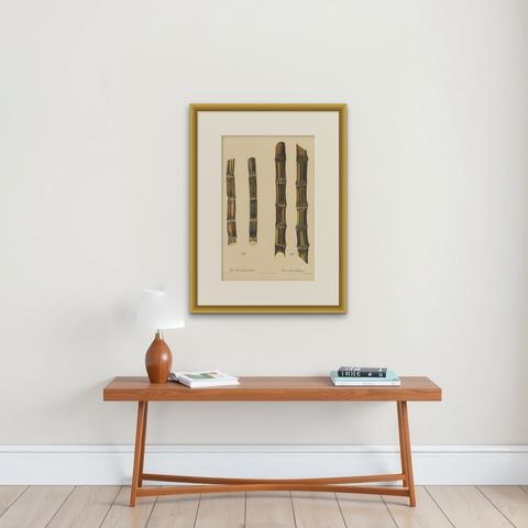 Antique Sugarcane Chromolithograph, Teboe Soerat Gempolkerap and Mangli, 1892, shown framed on a wall, true to size