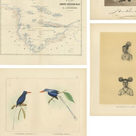 Set of 21 Antique Prints Illustrating the Travels to Cenderawasih Bay, 1875, close-up 2