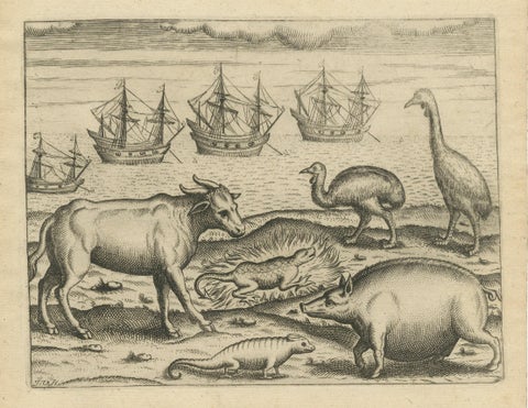 Rare Creatures of the East: A 1601 de Bry Copper Engraving from the Indies, close-up 1
