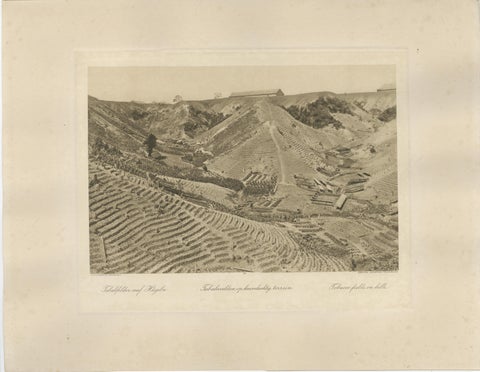 Set of 4 Tobacco Industry Photogravures, Sumatra’s O.K., C.J. Kleingrothe, 1910, view 2
