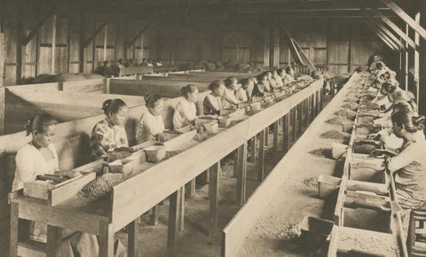 Coffee Establishment Girsahan & Sorting Coffee, Antique Photos Sumatra, c.1900, close-up 2