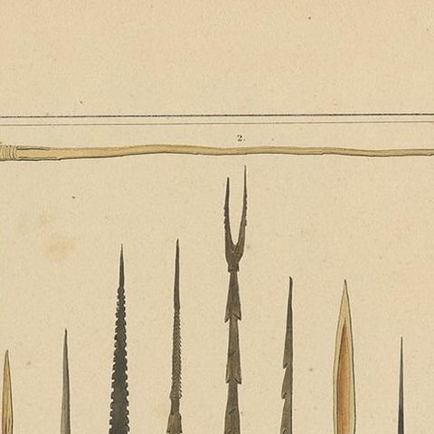 Print with Weapons of Papua 'New Guinea, Indonesia' by Temminck, circa 1840, close-up 1
