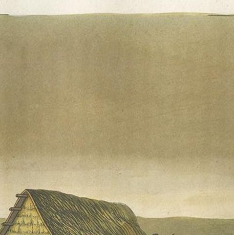 Antique Print of Papuan Houses by Ferrario, '1831', close-up 1