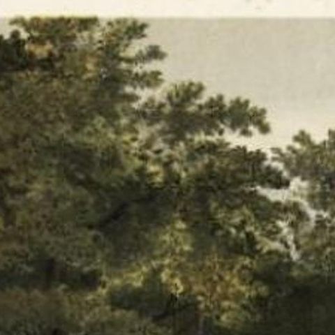 Antique Print of the Royal Arboretum in Batavia by Perelaer, 1888, close-up 1