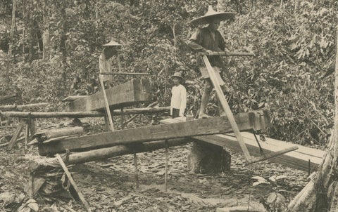 Logging Elephants, Lau Boentoe, Antique Dutch East Indies Photo c.1910, close-up 4