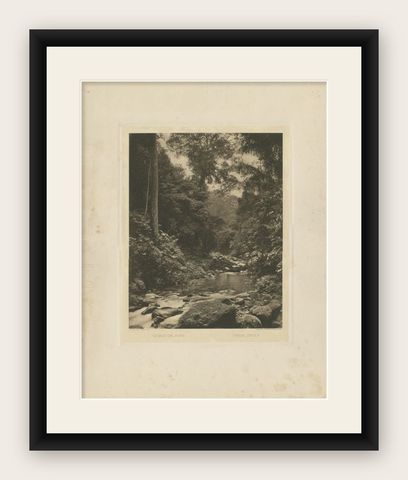 Antique Print of the Jungle and Sungai Belawan River by Kleingrothe, c.1910, shown framed