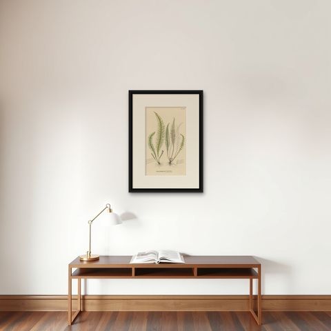 Beautifully Handcolored Lithograph of Ferns of Indonesia 'Polypodium', 1829, shown framed on a wall, true to size