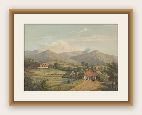 Java’s Kawis Mountains and Tobacco Estate near Malang, Antique Lithograph, 1872, shown framed