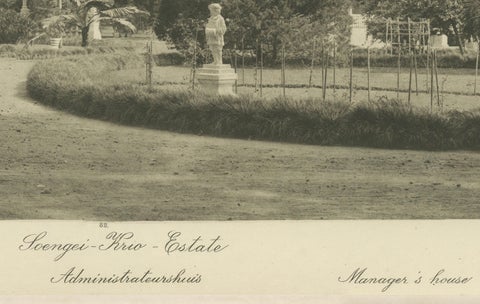 Set of 3 Antique Photogravures of Sumatra Plantations, Deli, Medan Region, 1900, close-up 3