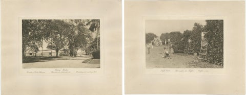 Coffee Fermentation Sheds and Harvest, Padang Roetan, Sumatra, c.1910, view 2