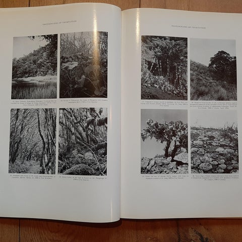 The Mountain Flora of Java by Van Steenis '1972', view 3