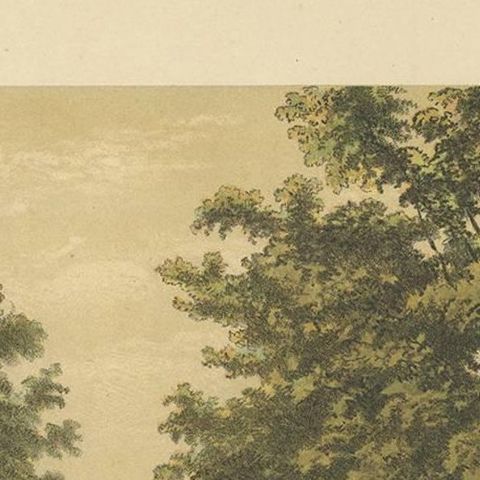 Antique Print of Avenue Paja Koembah 'Sumatra' by M.T.H. Perelaer, 1888, close-up 1