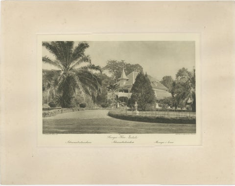 Set of 3 Antique Photogravures of Sumatra Plantations, Deli, Medan Region, 1900, view 2