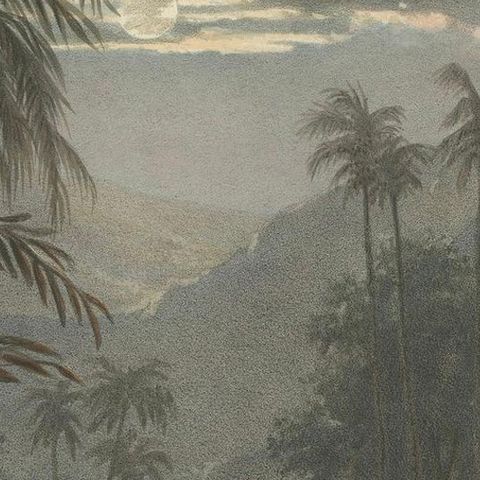 Moonlit Landscape near Sumedang, West Java, Rare Java Lithograph, 1872, close-up 4
