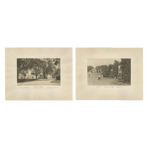 Coffee Fermentation Sheds and Harvest, Padang Roetan, Sumatra, c.1910
