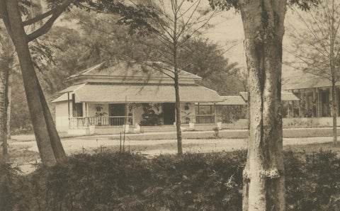 Medan Resident’s Palace, East Coast of Sumatra, Kleingrothe Photogravure c.1900, close-up 1