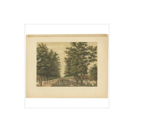 Antique Print of Avenue Paja Koembah 'Sumatra' by M.T.H. Perelaer, 1888, view 2
