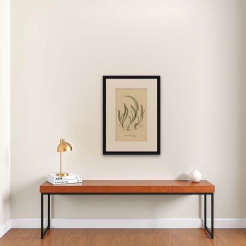 Majestically Handcolored Lithograph of Ferns of Indonesia 'Polypodium', 1829, shown framed on a wall, true to size