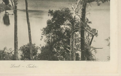 Laut Tador Lake, Sumatra, Antique Kleingrothe Photogravure c.1900, close-up 1