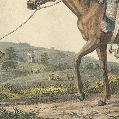 Antique Print of a Civil Servant from Java by Hurter 'circa 1830', close-up 1
