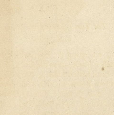 Antique Bird Print of a Turtle Dove from the East Indies, close-up 1