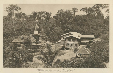 Coffee Establishment Girsahan & Sorting Coffee, Antique Photos Sumatra, c.1900, close-up 6