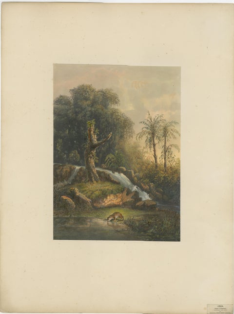 Wild Landscape with Waterfall and Jungle Life, Java Lithograph, Published 1872, view 2
