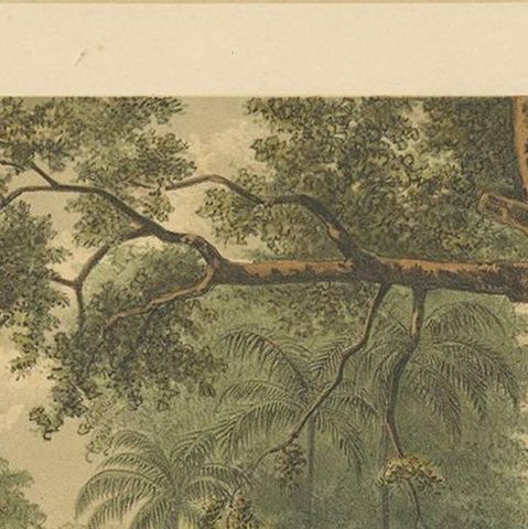 Antique Print of a Cemetery in Bontowala by M.T.H. Perelaer, 1888, close-up 1
