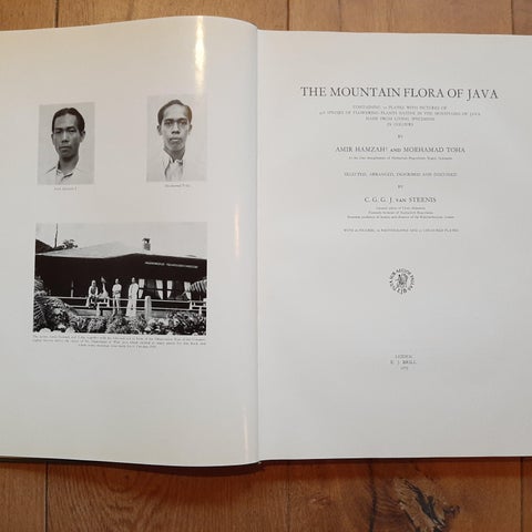 The Mountain Flora of Java by Van Steenis '1972', view 2