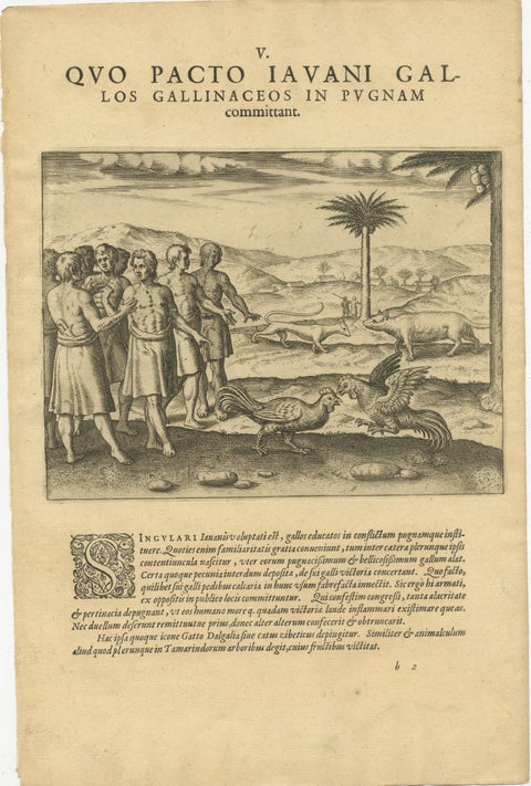 The Cockfight of Java: A 1601 de Bry Engraving of Cultural Pastimes, view 2