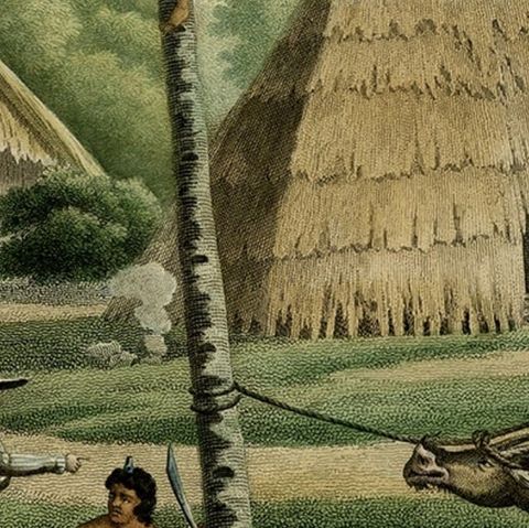 Old Print of French Travellers Visiting a Village in Kupang, Timor, 1825, close-up 3