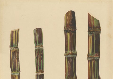 Antique Sugarcane Chromolithograph, Teboe Soerat Gempolkerap and Mangli, 1892, close-up 4