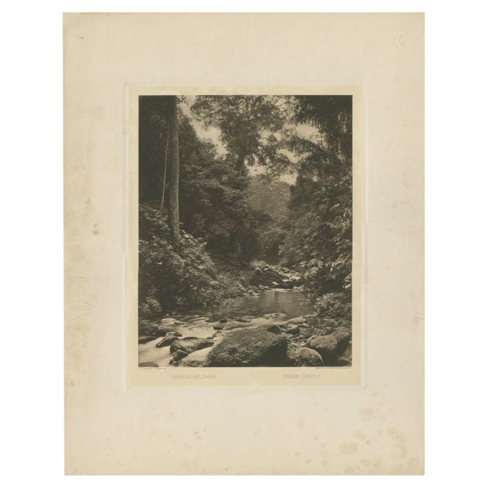 Antique Print of the Jungle and Sungai Belawan River by Kleingrothe, c.1910