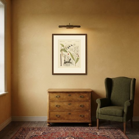 Cassia Cinnamon and Galangal Spices, Antique Bertuch Print, circa 1805, shown framed in a room, true to size