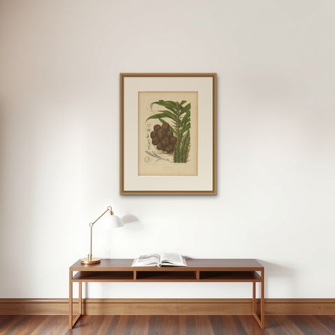 Antique Salak Palm Botanical Chromolithograph by Hoola van Nooten, c. 1880, shown framed on a wall, true to size