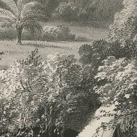 Antique Print of a waterfall near Tondano (Indonesia) by C.W.M. van de Velde, close-up 2