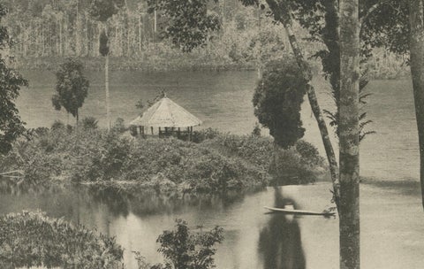 Laut Tador Lake, Sumatra, Antique Kleingrothe Photogravure c.1900, close-up 2