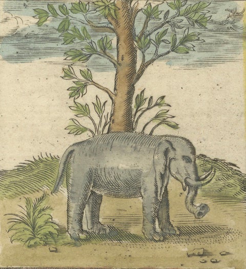 1621 Ptolemy & Magini Map of Taprobana (Sumatra) with Elephant Inset, close-up 3
