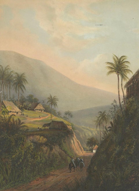 Mountain Road to the Salak Valley, Java, Colonial Landscape Lithograph, 1872, close-up 2