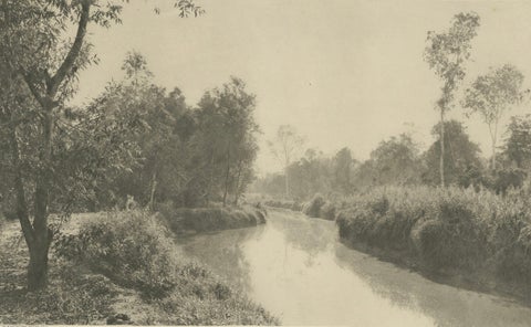 Canal at Loeboe Dalam, Sumatra, C J Kleingrothe, Dutch East Indies c1910, close-up 4