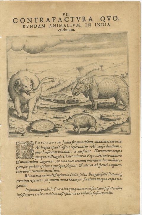 De Bry’s India and East Indies, Cockfights, Sacred Trees & Exotic Animals, 1598, view 4