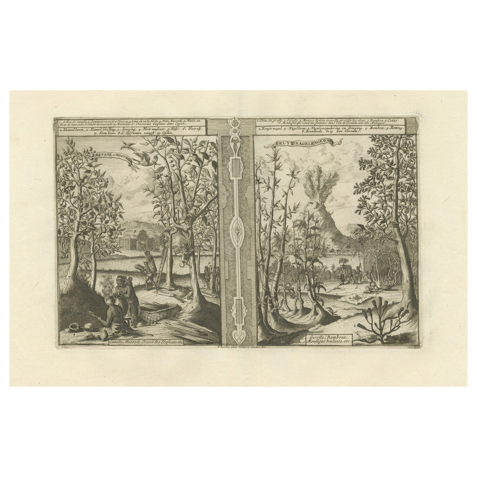Exotic Bounty: The Spice Lands of the East Indies by R. de Hooghe, circa 1708