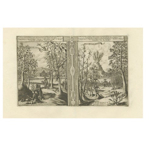 Exotic Bounty: The Spice Lands of the East Indies by R. de Hooghe, circa 1708